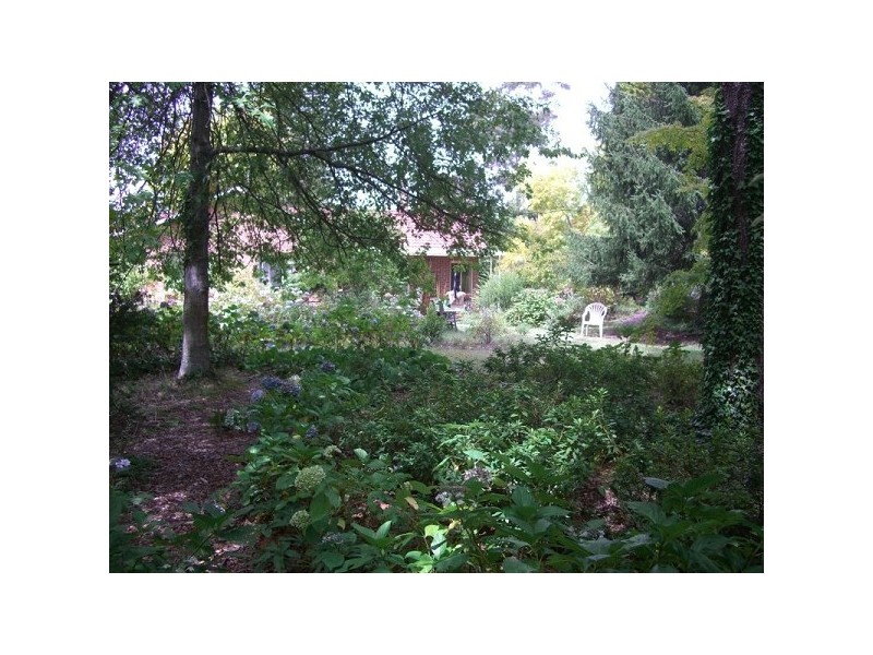 14 Station Street, Medlow Bath NSW 2780