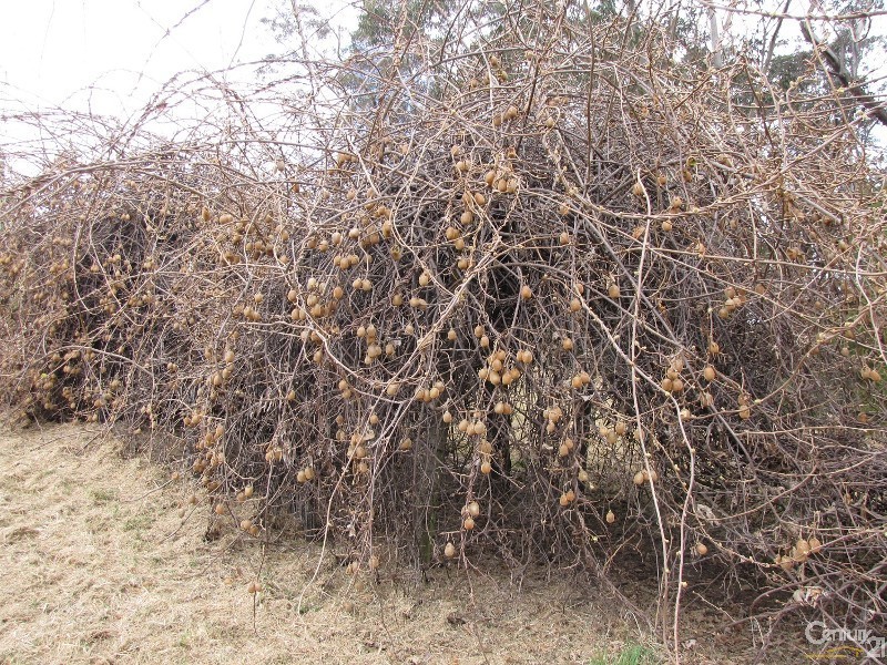 67 Farnells Road, Katoomba NSW 2780