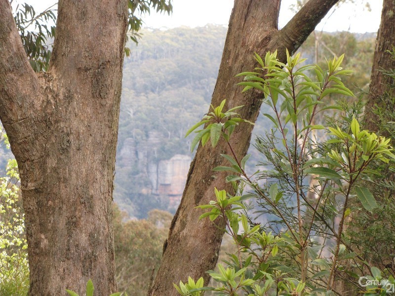 67 Farnells Road, Katoomba NSW 2780