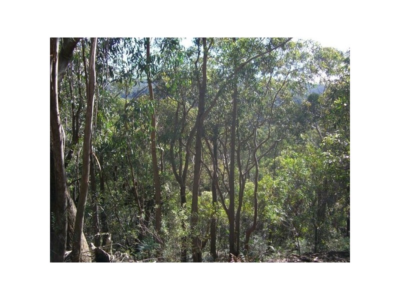 110 Kent Street, Bullaburra NSW 2784