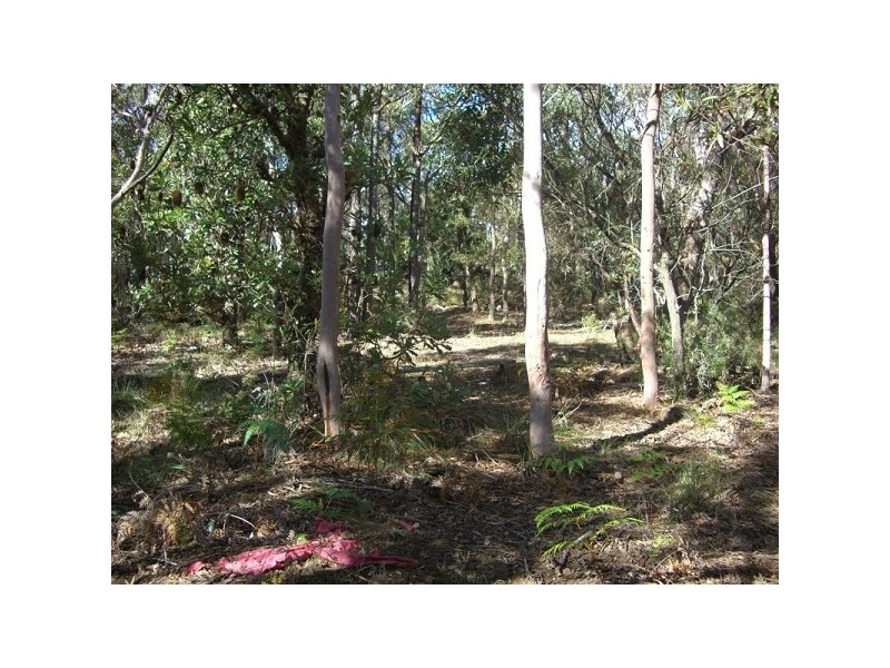 110 Kent Street, Bullaburra NSW 2784