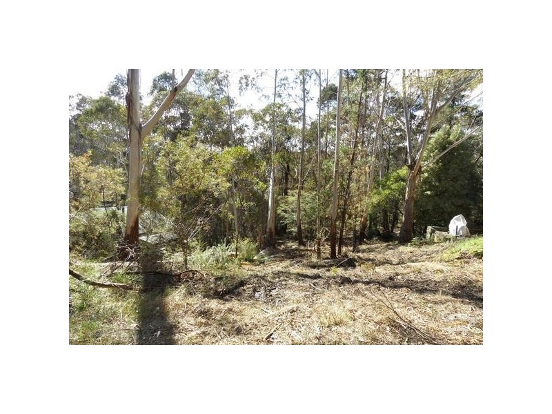 2 Portland Road, Medlow Bath NSW 2780