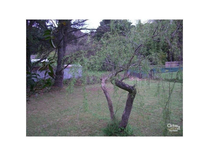 Medlow Bath NSW 2780