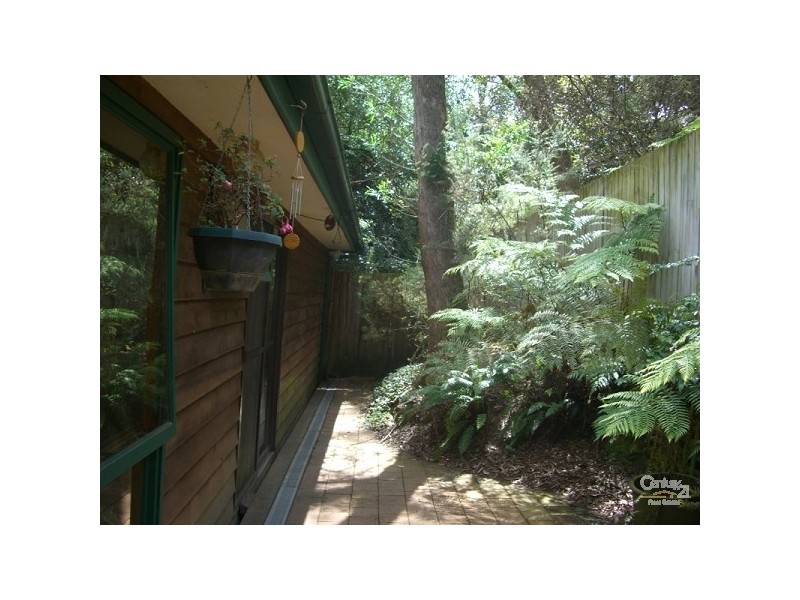 Katoomba NSW 2780
