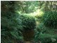 Katoomba NSW 2780