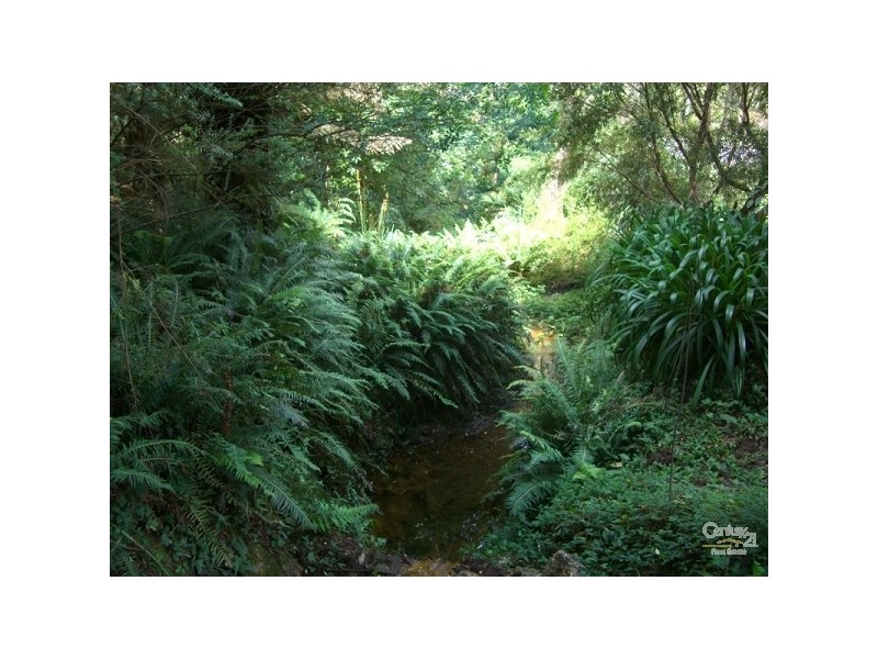 Katoomba NSW 2780