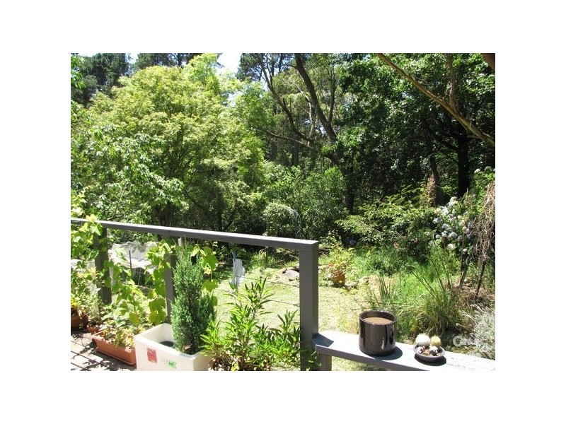 Wentworth Falls NSW 2782