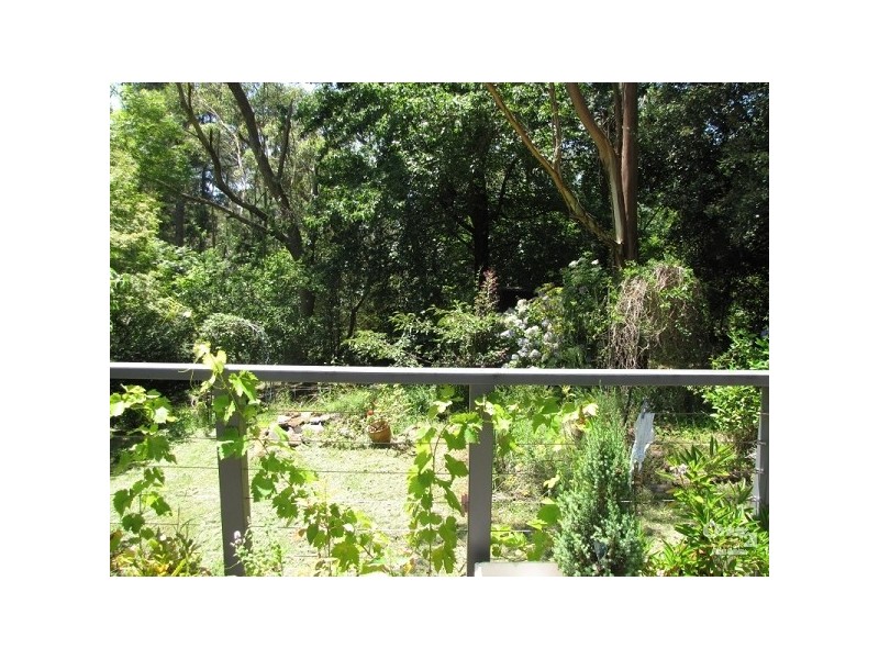 Wentworth Falls NSW 2782