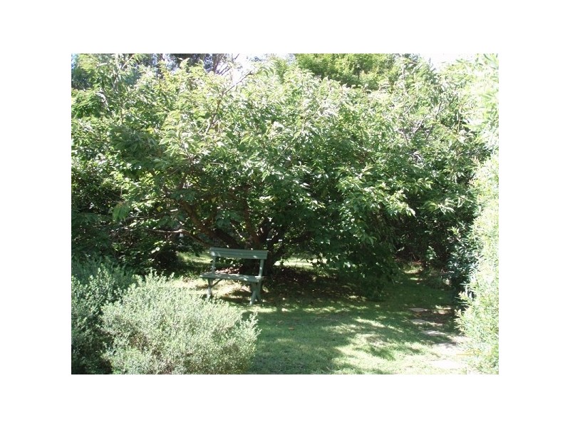 17 Letitia Street, Katoomba NSW 2780