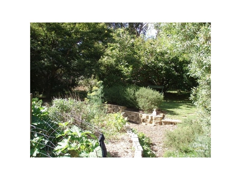 17 Letitia Street, Katoomba NSW 2780