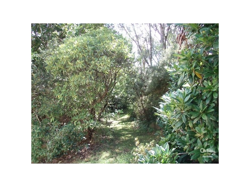 17 Letitia Street, Katoomba NSW 2780