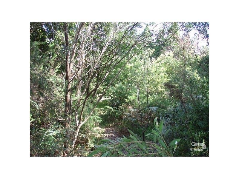 17 Letitia Street, Katoomba NSW 2780