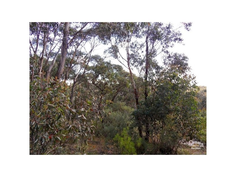 8 Rawson Parade, Leura NSW 2780