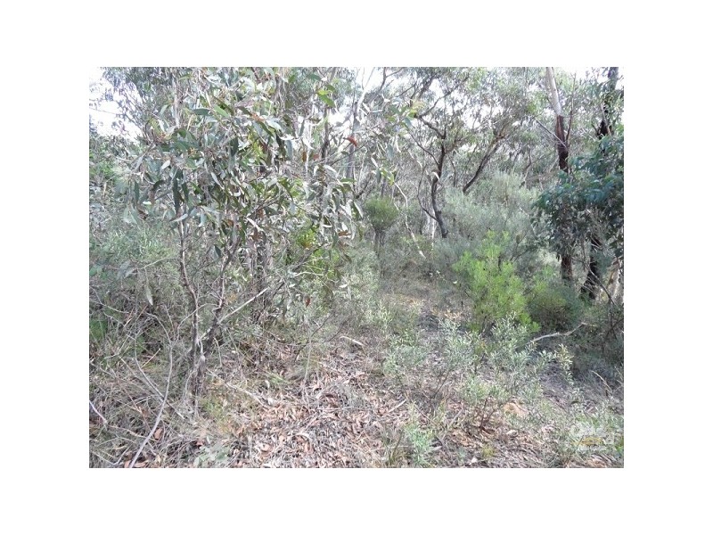 8 Rawson Parade, Leura NSW 2780