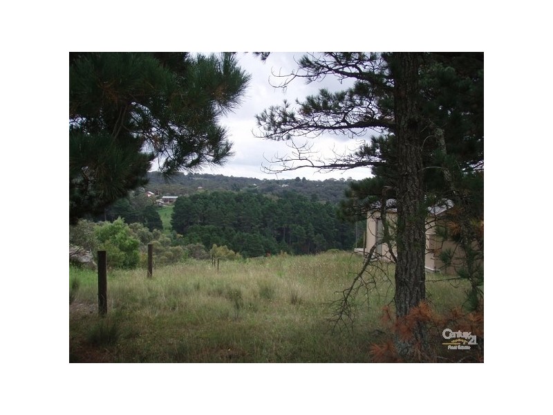 62 Mount Hay Road, Leura NSW 2780