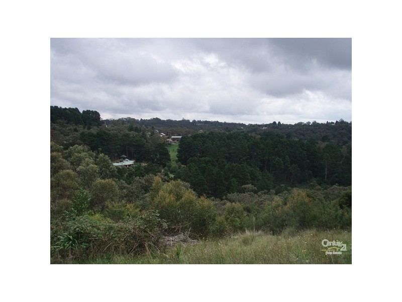 62 Mount Hay Road, Leura NSW 2780