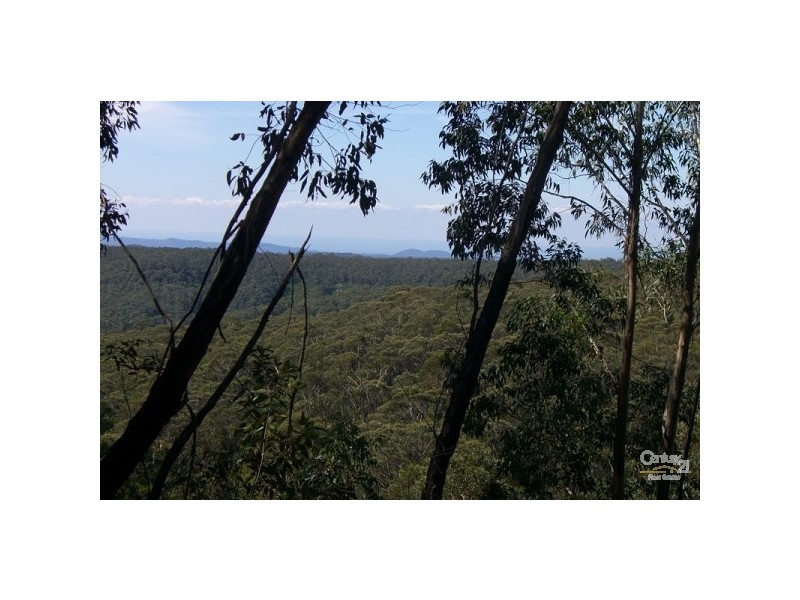 33 Roselle Street, Wentworth Falls NSW 2782