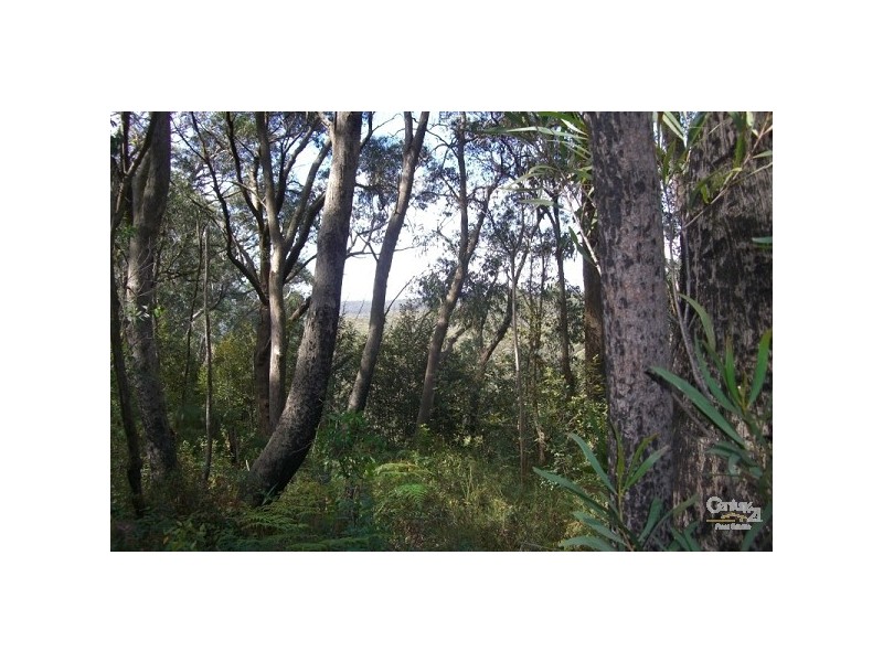 33 Roselle Street, Wentworth Falls NSW 2782