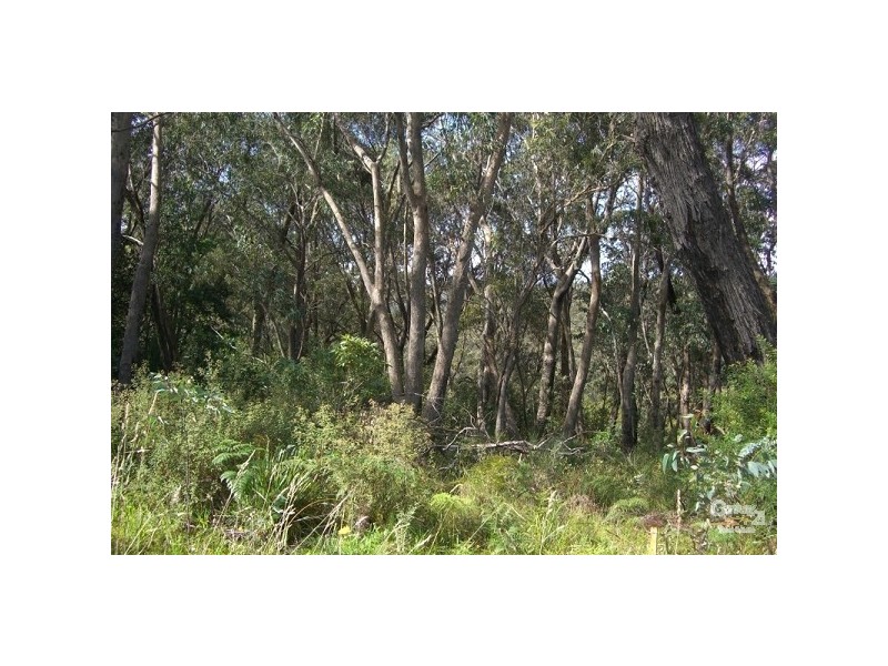 33 Roselle Street, Wentworth Falls NSW 2782