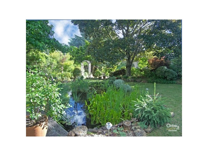 Wentworth Falls NSW 2782