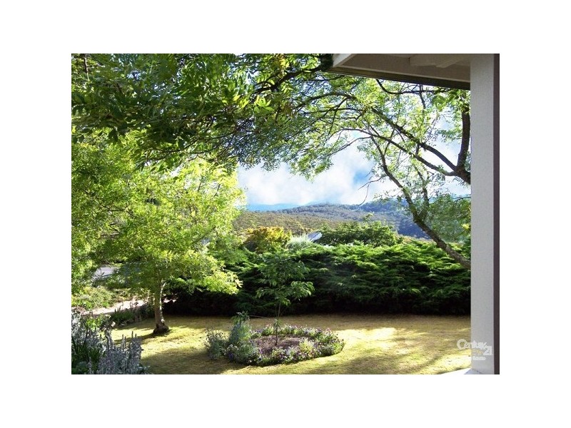 Wentworth Falls NSW 2782