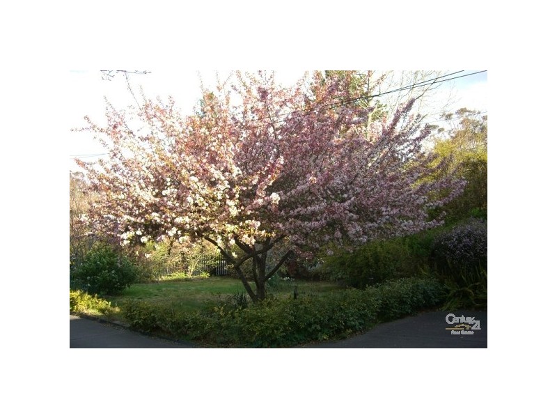 Wentworth Falls NSW 2782