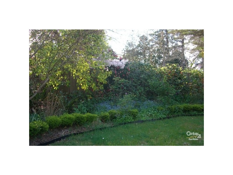 Wentworth Falls NSW 2782