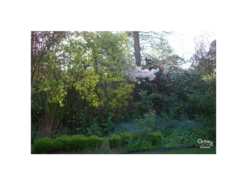 Wentworth Falls NSW 2782