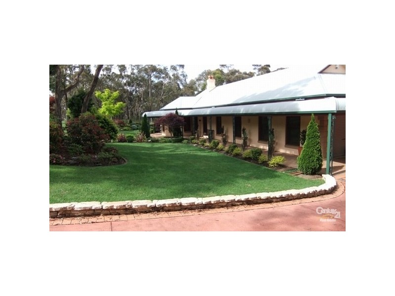 Wentworth Falls NSW 2782