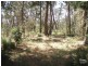 Katoomba NSW 2780