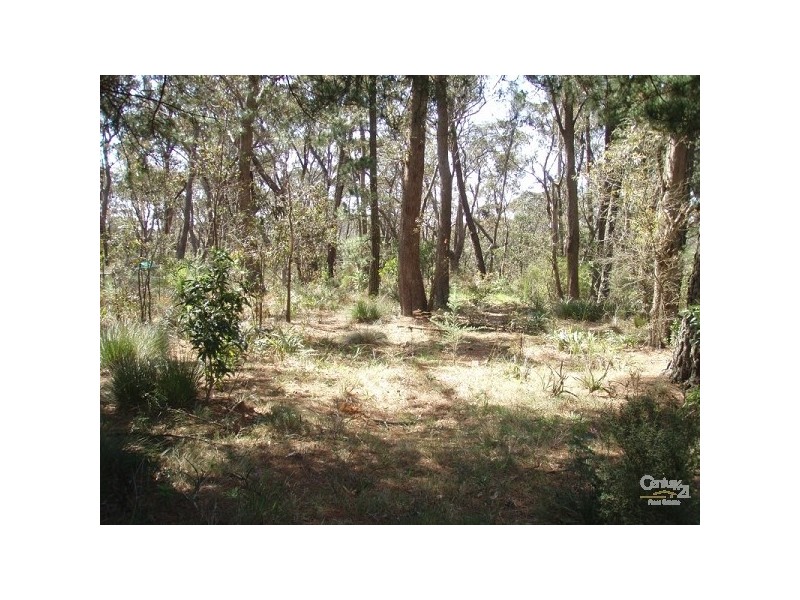 Katoomba NSW 2780