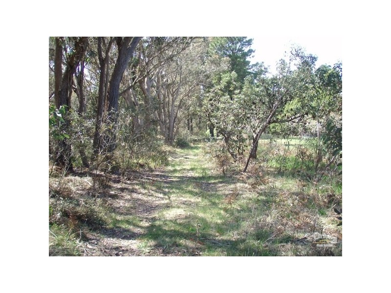 Katoomba NSW 2780