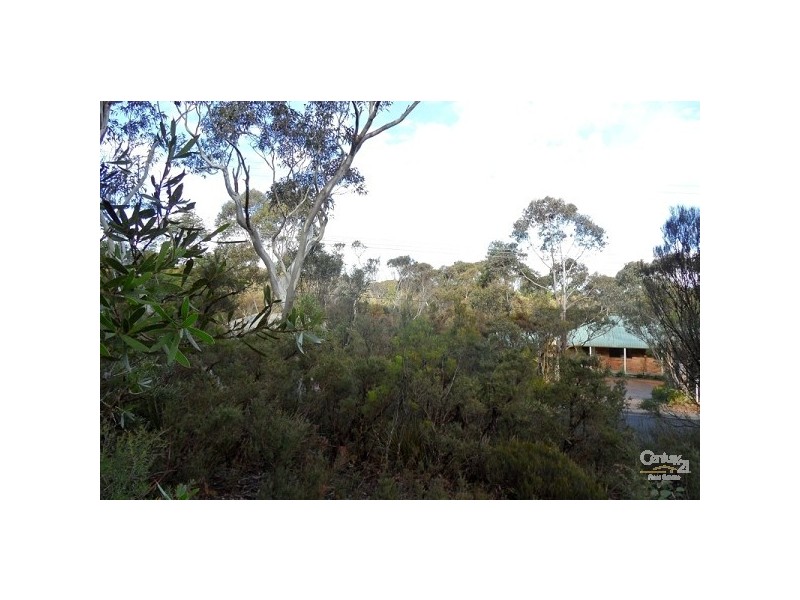 111 Stuarts Road, Katoomba NSW 2780