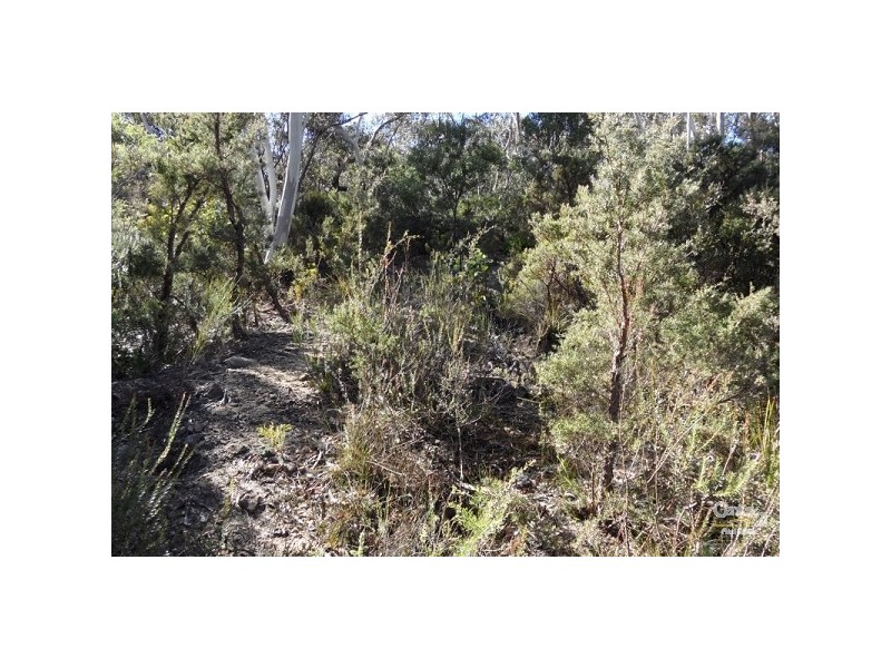 111 Stuarts Road, Katoomba NSW 2780