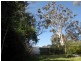 Katoomba NSW 2780