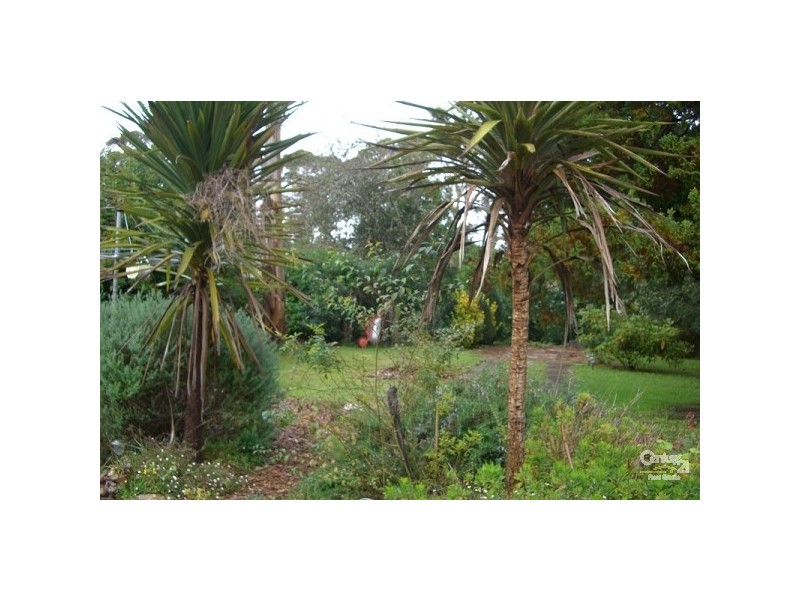 Katoomba NSW 2780