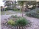 Katoomba NSW 2780
