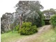 Leura NSW 2780