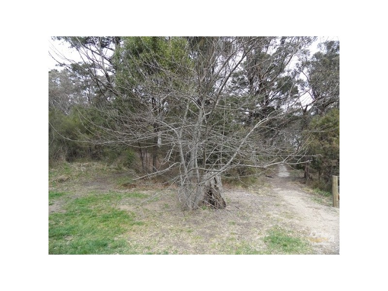 12 Cassilis Street, Mount Victoria NSW 2786