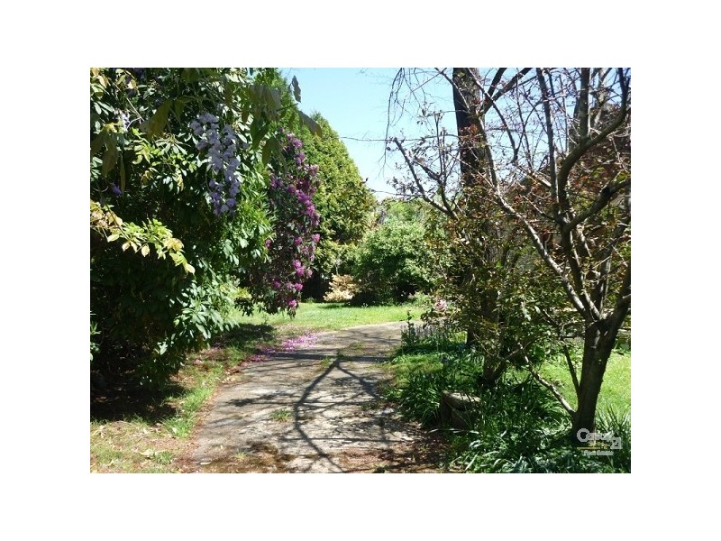 Wentworth Falls NSW 2782