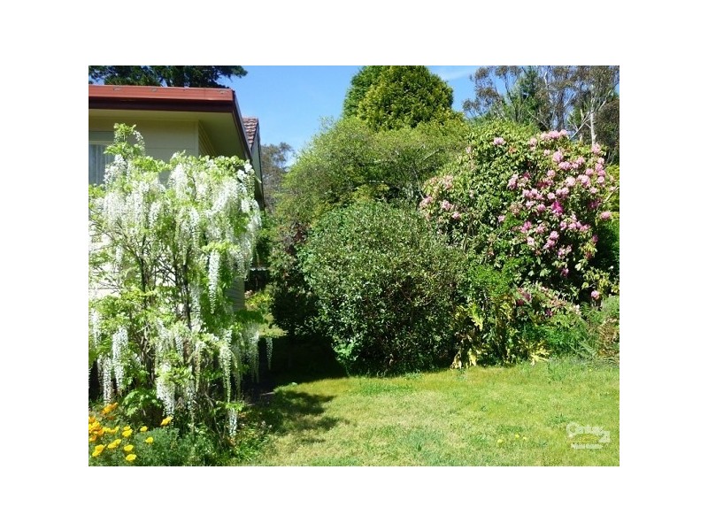 Wentworth Falls NSW 2782