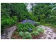 Wentworth Falls NSW 2782