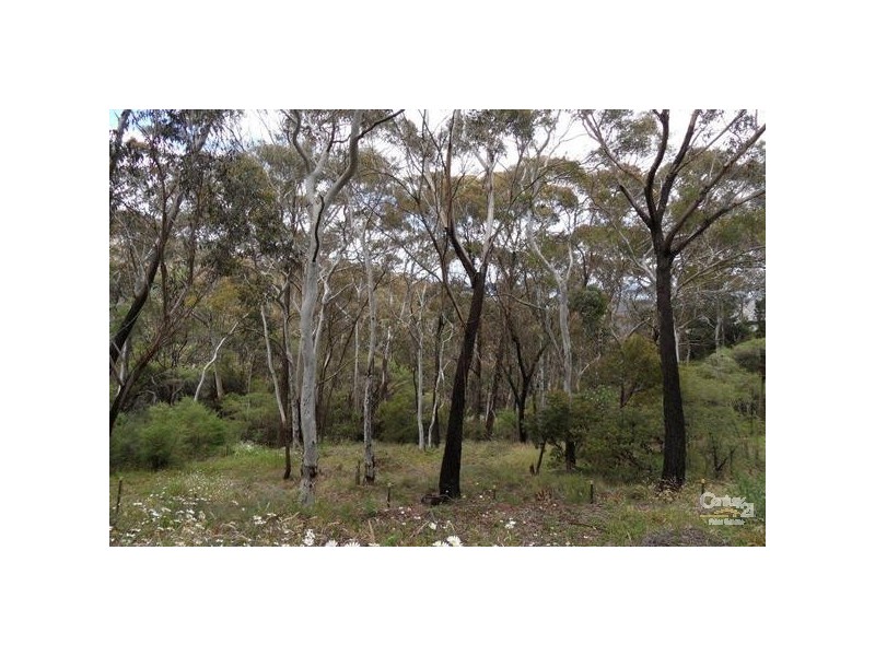 158 Victoria Street, Mount Victoria NSW 2786