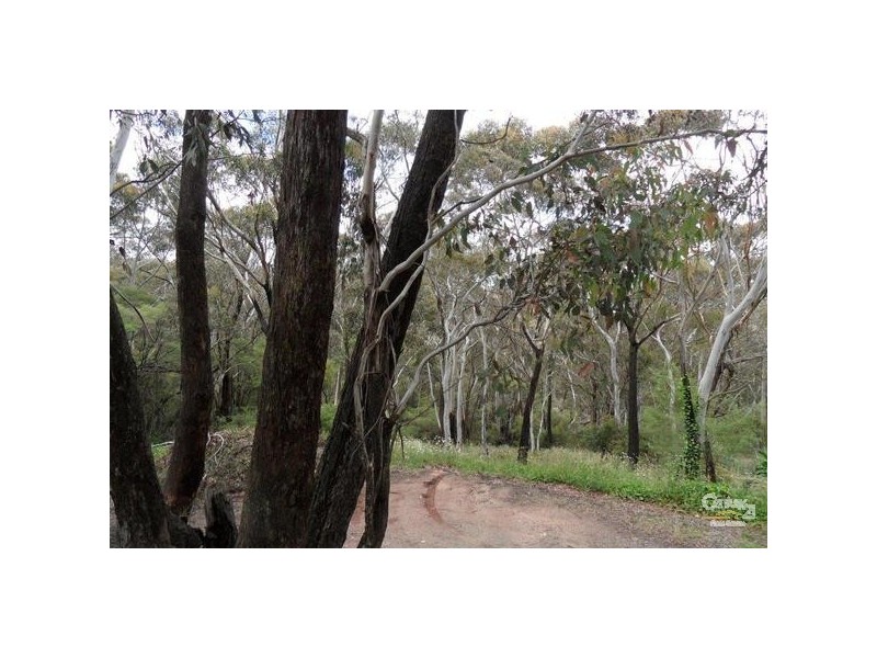 158 Victoria Street, Mount Victoria NSW 2786