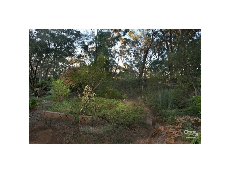 247 Cliff Drive, Katoomba NSW 2780