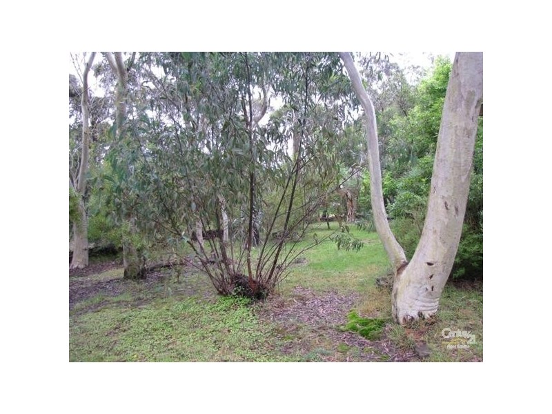 14 Nelson Road, Katoomba NSW 2780