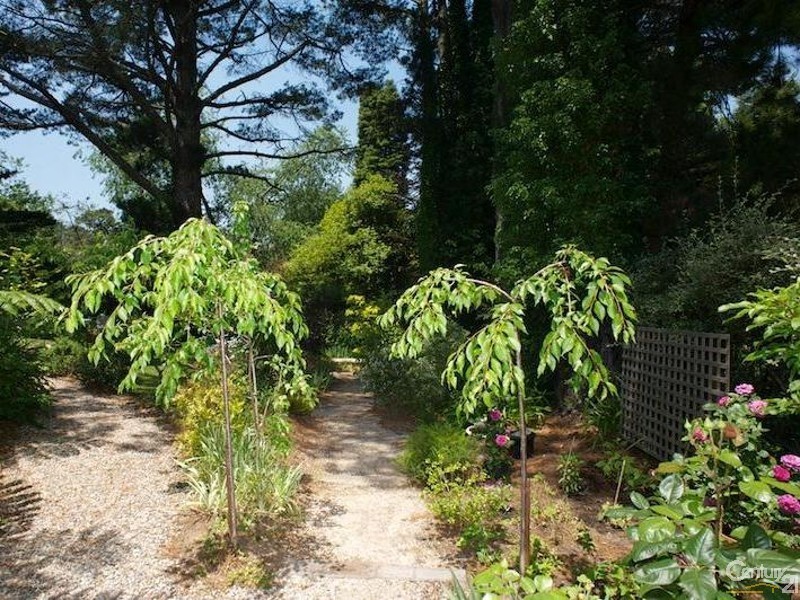 16 Holmes Street, Leura NSW 2780