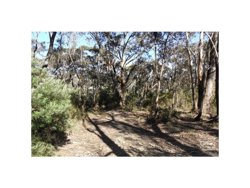 67 Victoria Street, Mount Victoria NSW 2786