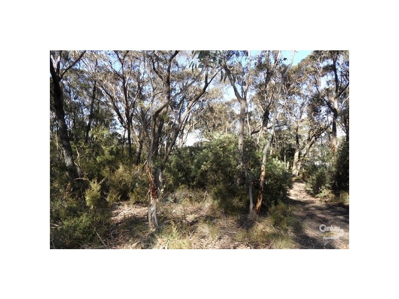 67 Victoria Street, Mount Victoria NSW 2786