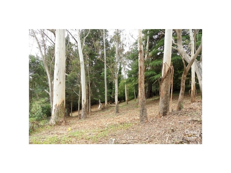 2 Waratah Street, Katoomba NSW 2780